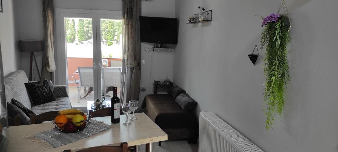 Villa Skabus - Apartment Liapades Dış mekan fotoğraf